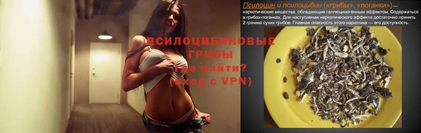 стафф Алзамай