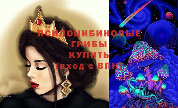 винт Нея