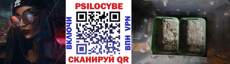 Галлюциногенные грибы прущие грибы Электрогорск